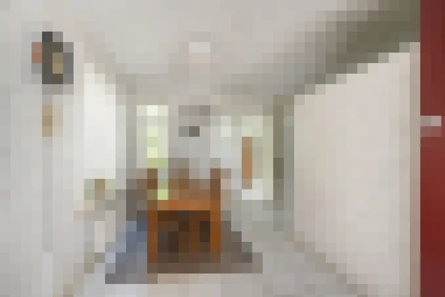 Prins Hendrikstraat 42 Naaldwijk thumbnail 6
