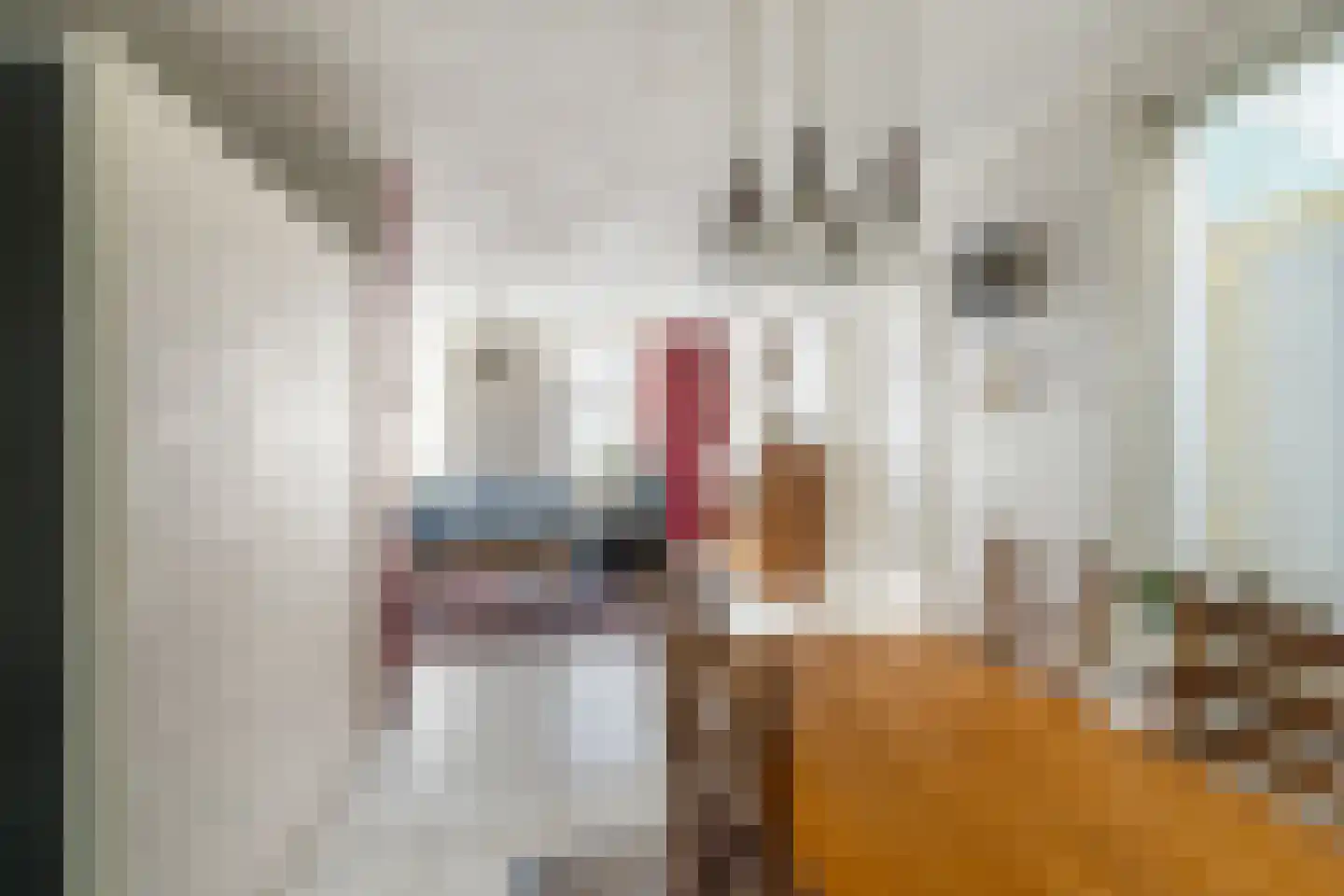 Prins Hendrikstraat 42 Naaldwijk thumbnail 7