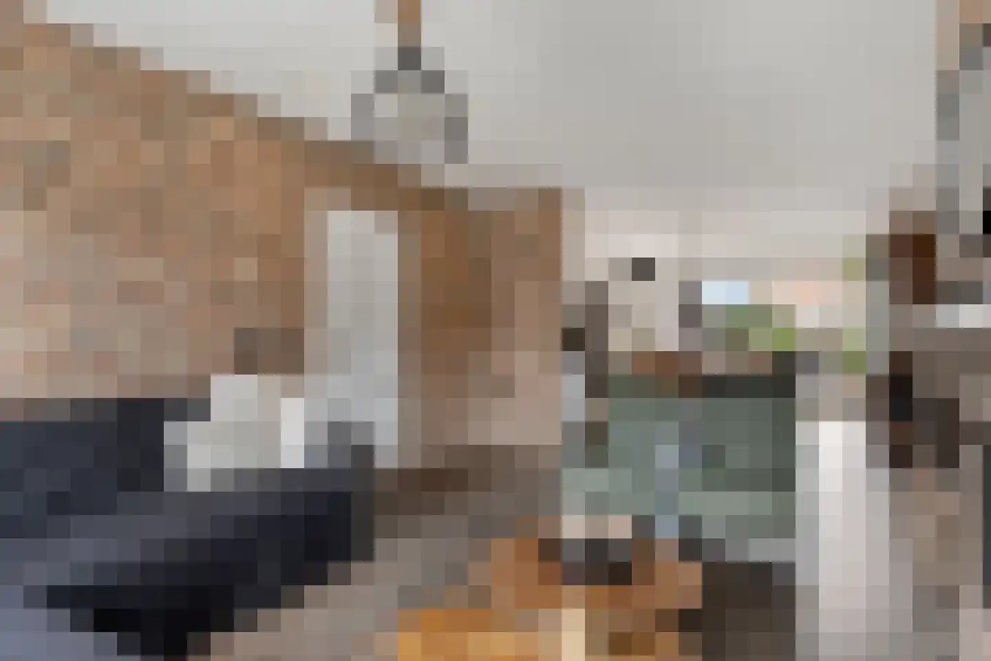Prins Hendrikstraat 43 Axel thumbnail 10