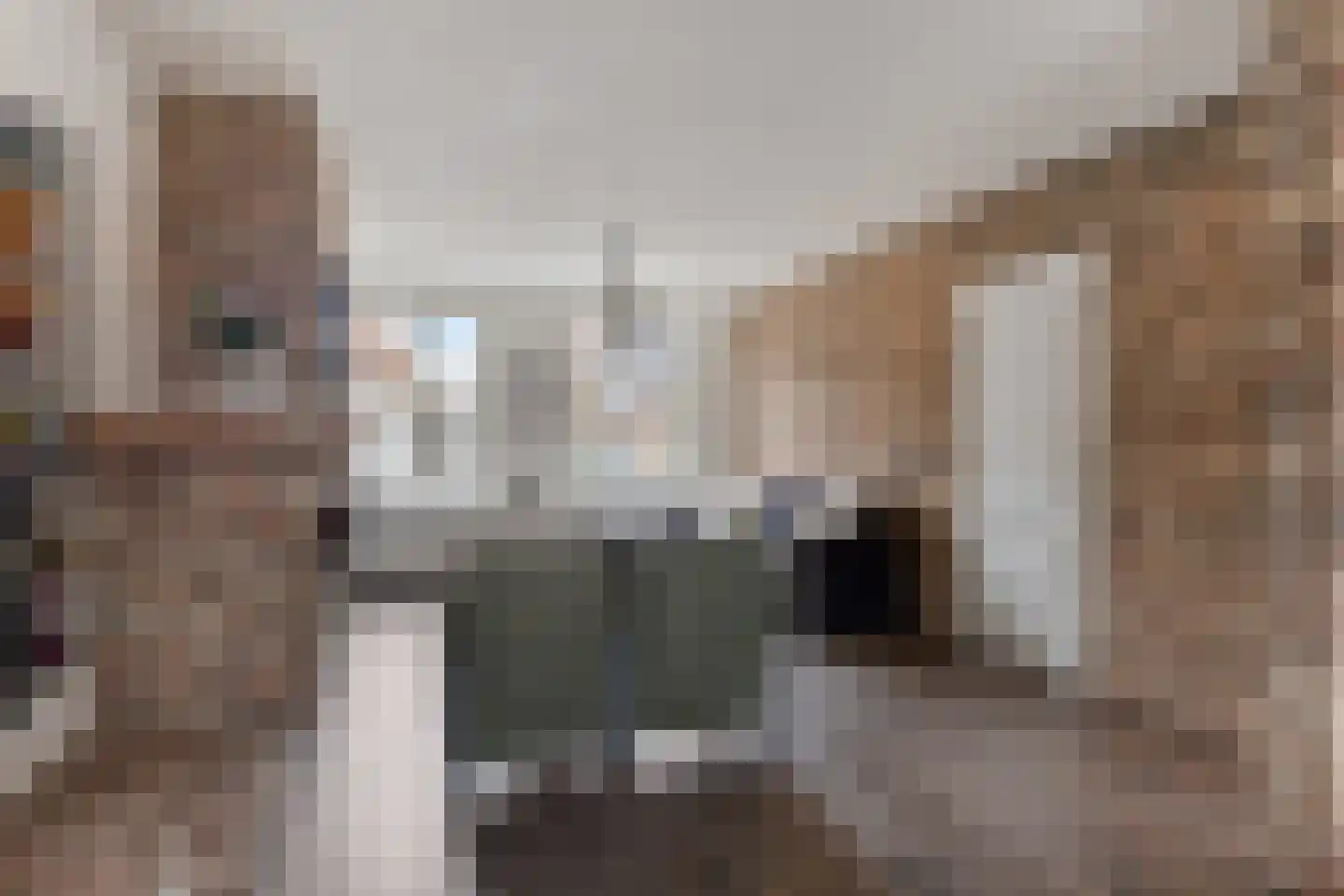 Prins Hendrikstraat 43 Axel thumbnail 12