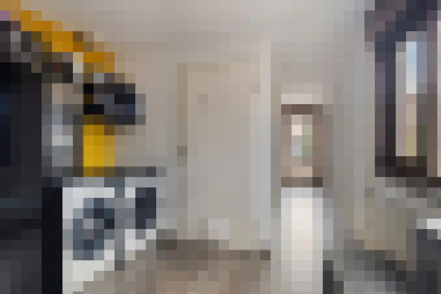 Prins Hendrikstraat 43 Axel thumbnail 17