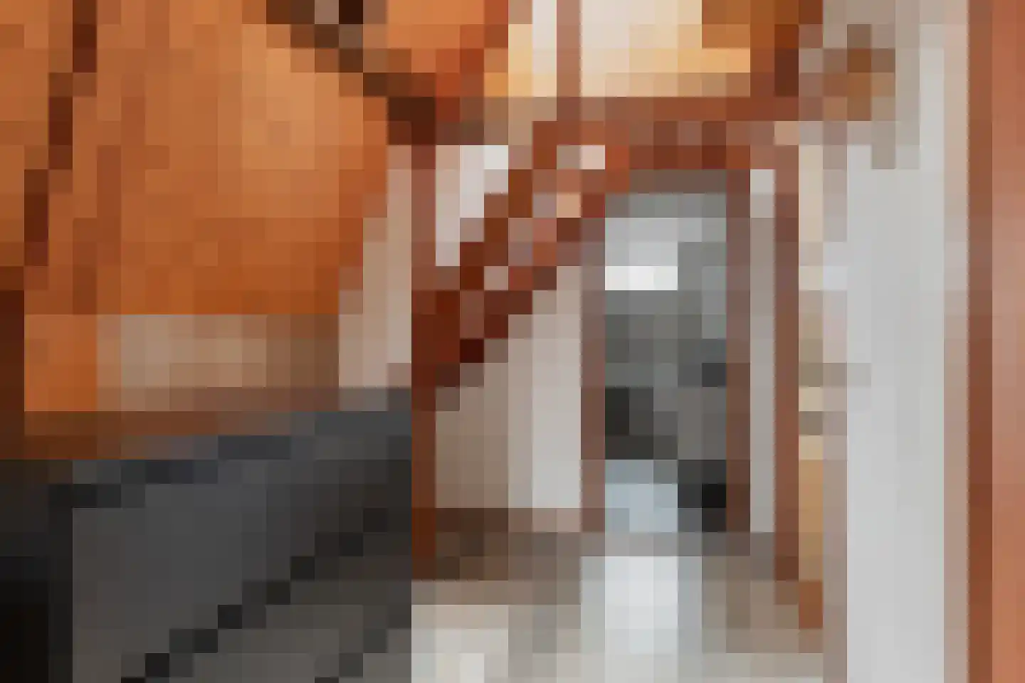 Prins Hendrikstraat 43 Axel thumbnail 31