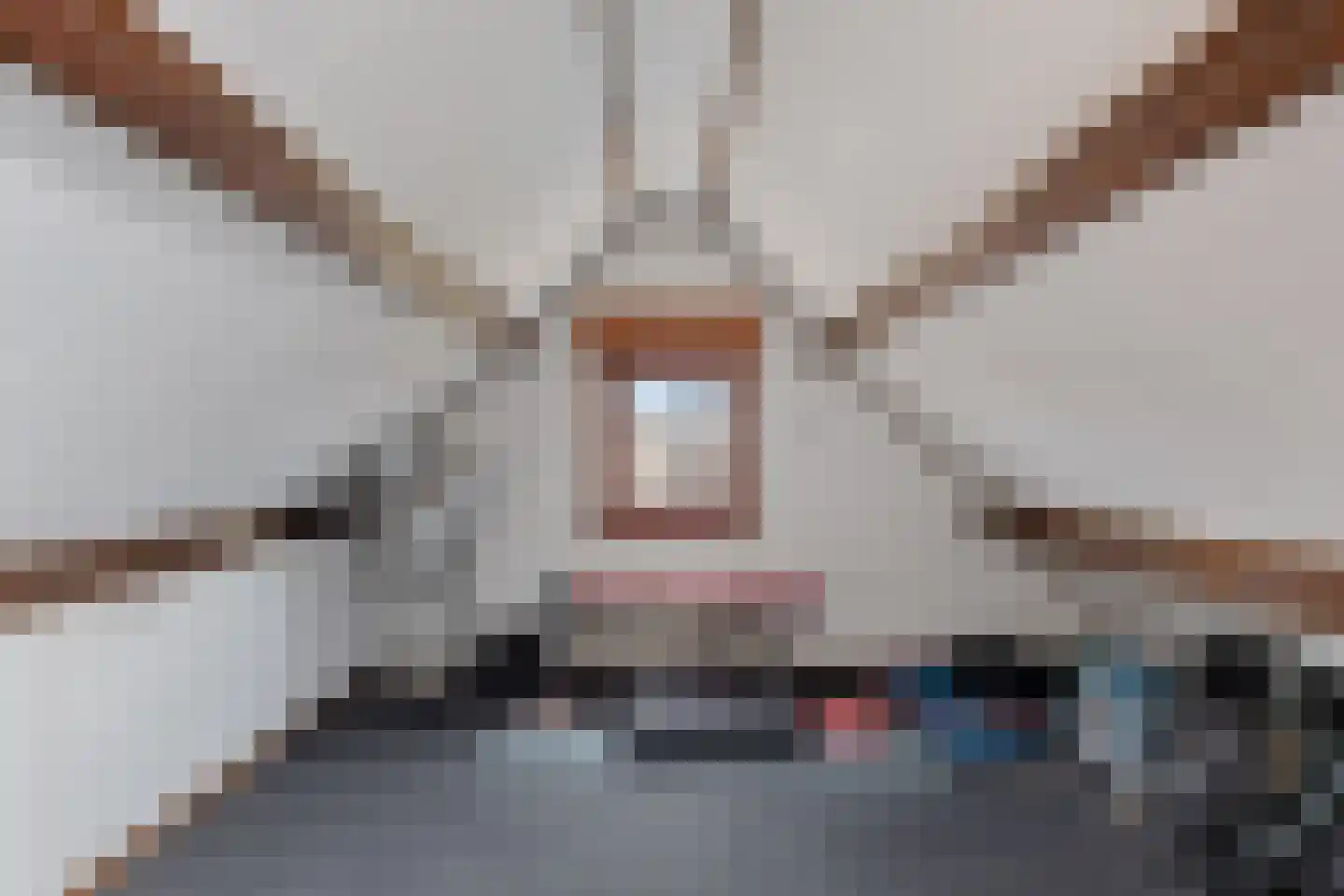 Prins Hendrikstraat 43 Axel thumbnail 34