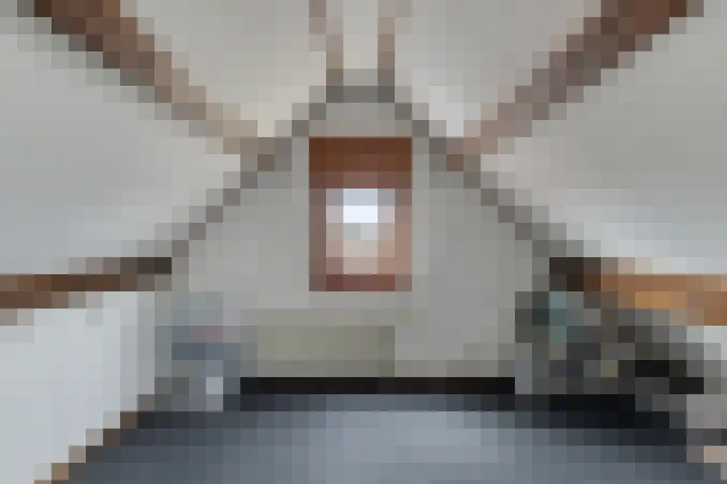 Prins Hendrikstraat 43 Axel thumbnail 36
