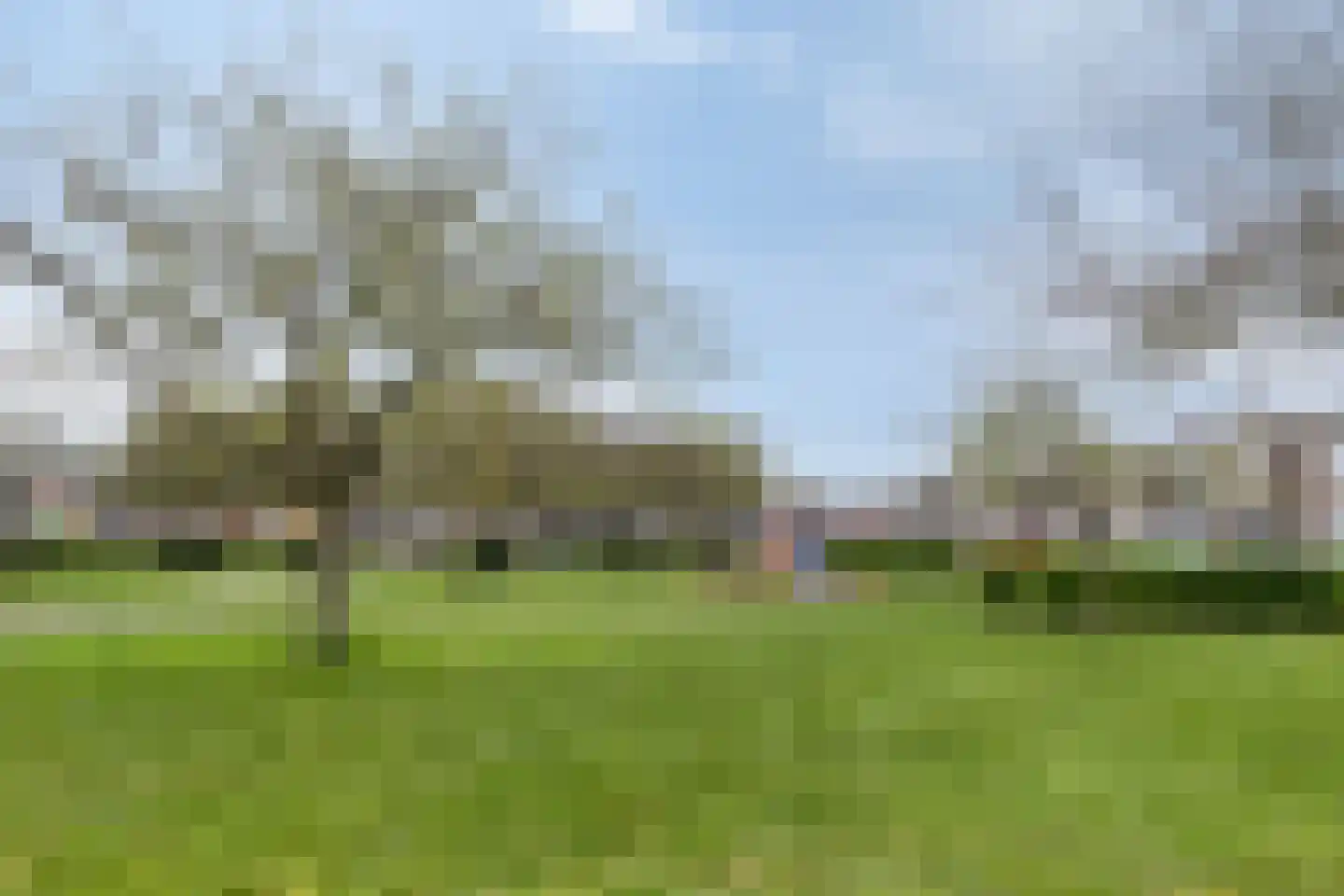Prins Hendrikstraat 43 Axel thumbnail 43
