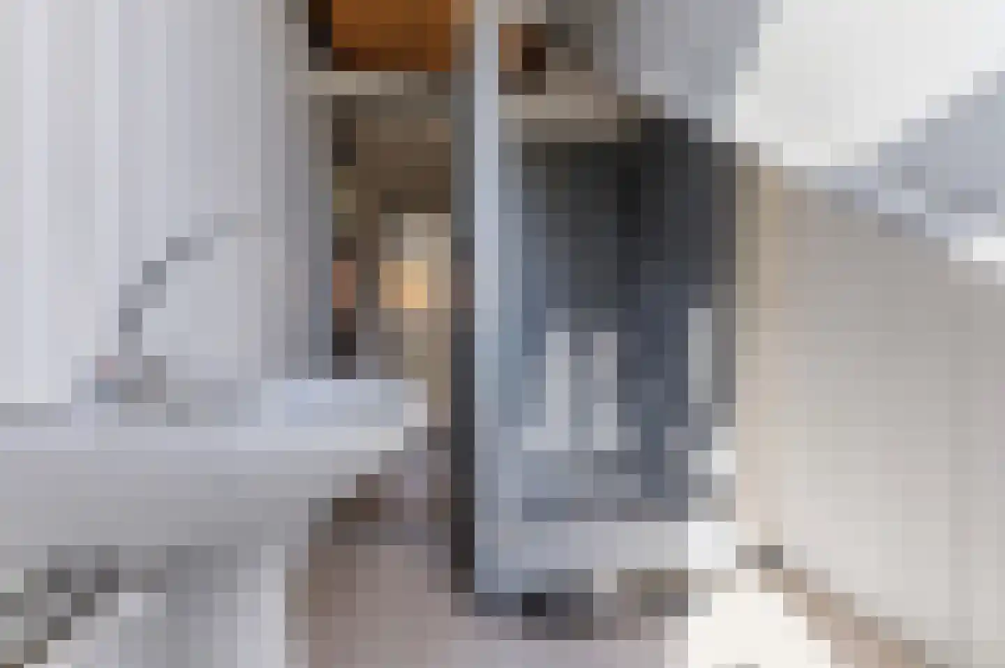 Prins Hendrikstraat 43 Wateringen thumbnail 24