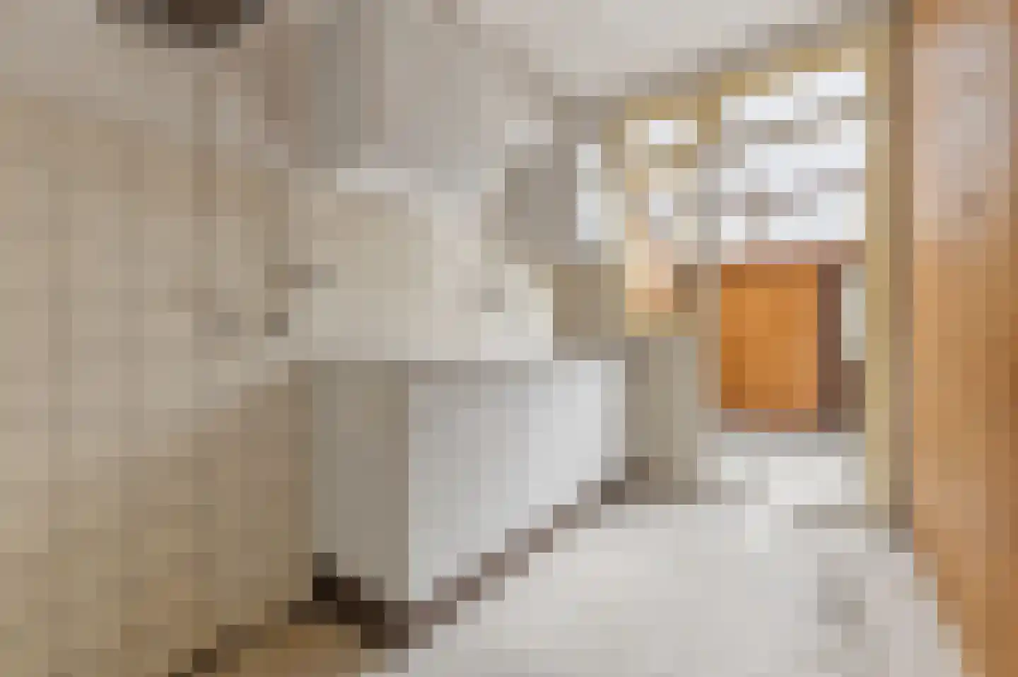 Prins Hendrikstraat 43 Wateringen thumbnail 42