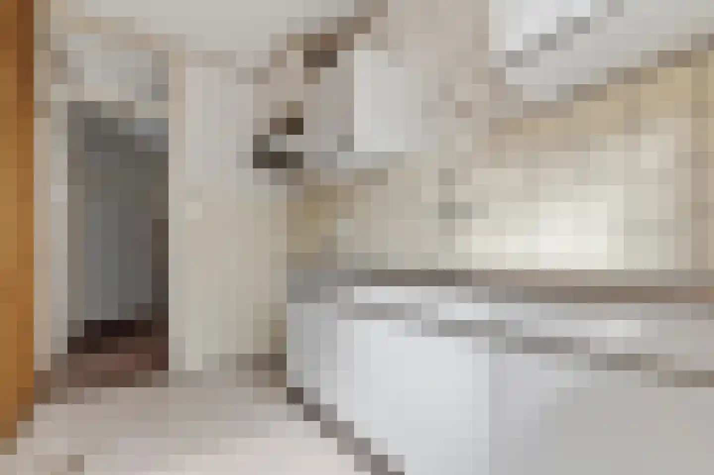 Prins Hendrikstraat 43 Wateringen thumbnail 5