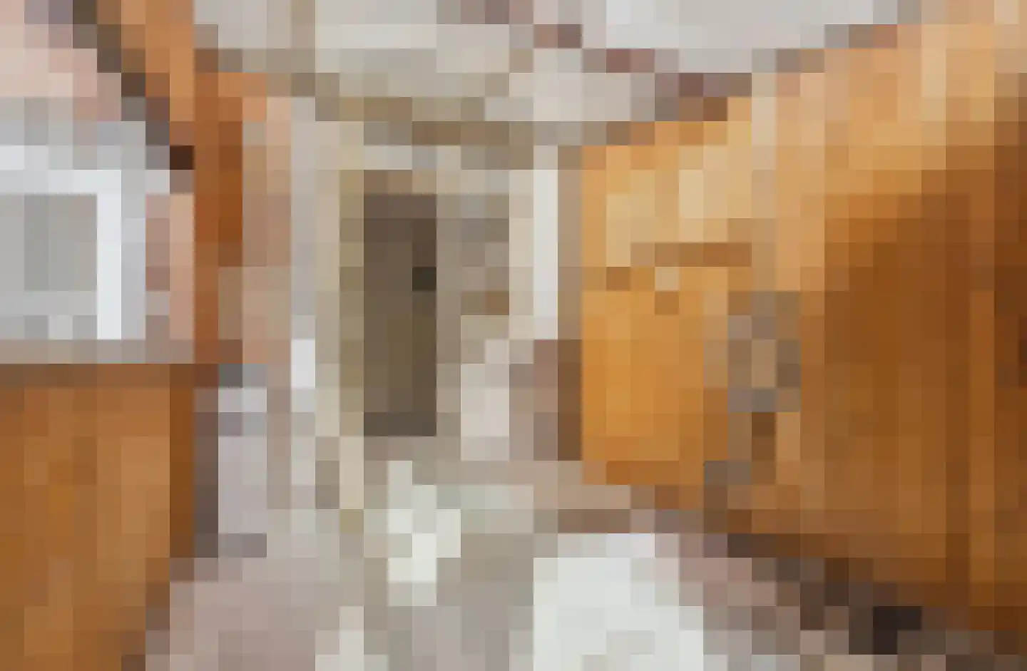 Prins Hendrikstraat 43 Wateringen thumbnail 7