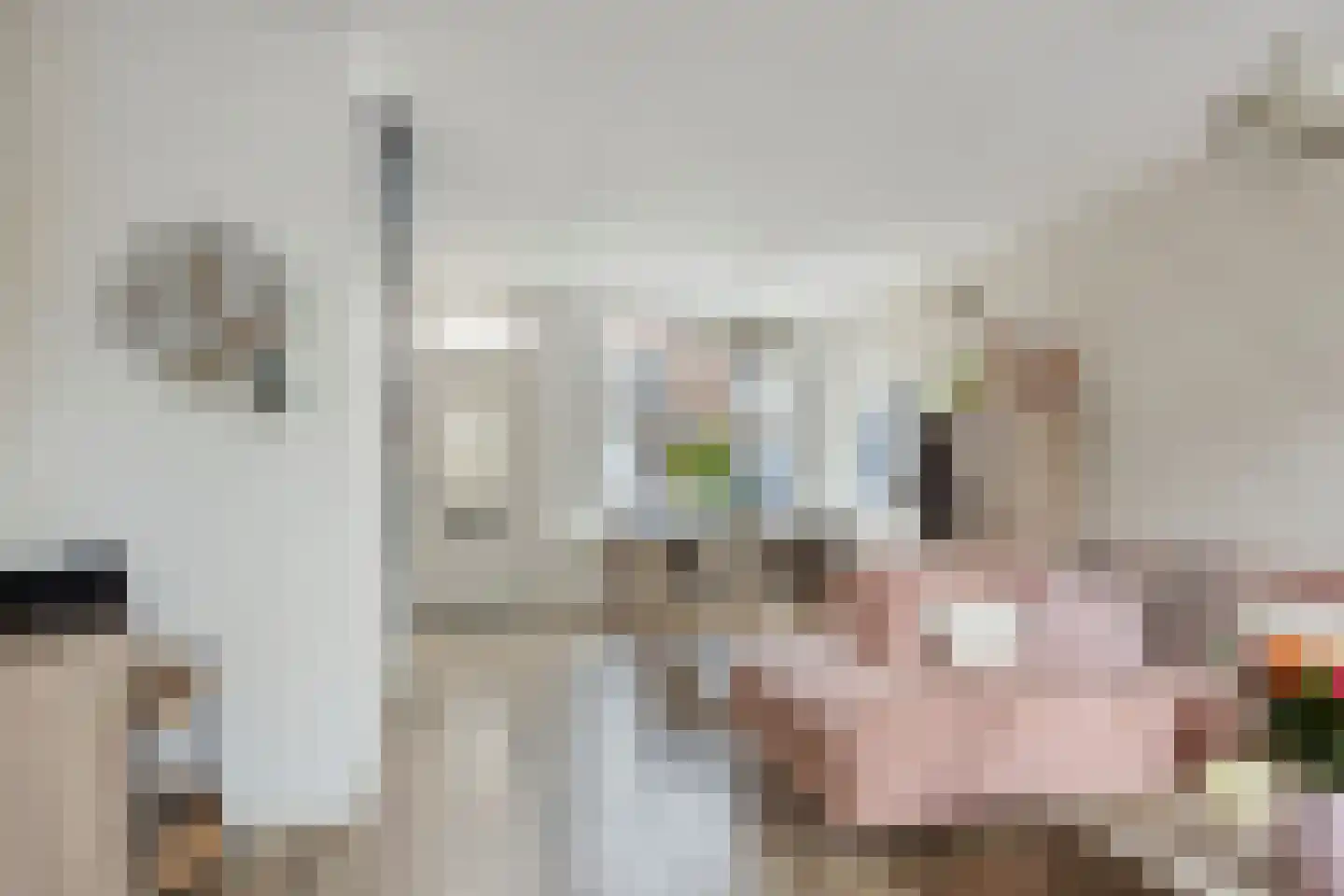 Prins Hendrikstraat 43 Zwijndrecht thumbnail 9