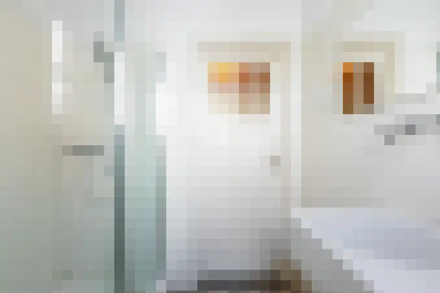 Prins Hendrikstraat 44 Eindhoven thumbnail 20