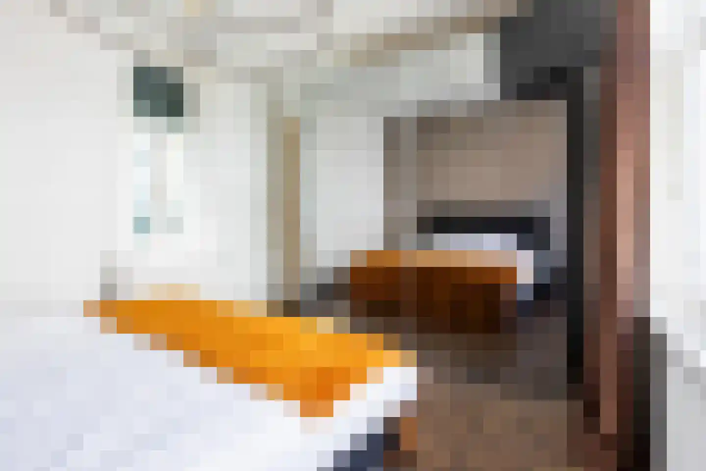 Prins Hendrikstraat 44 Eindhoven thumbnail 23