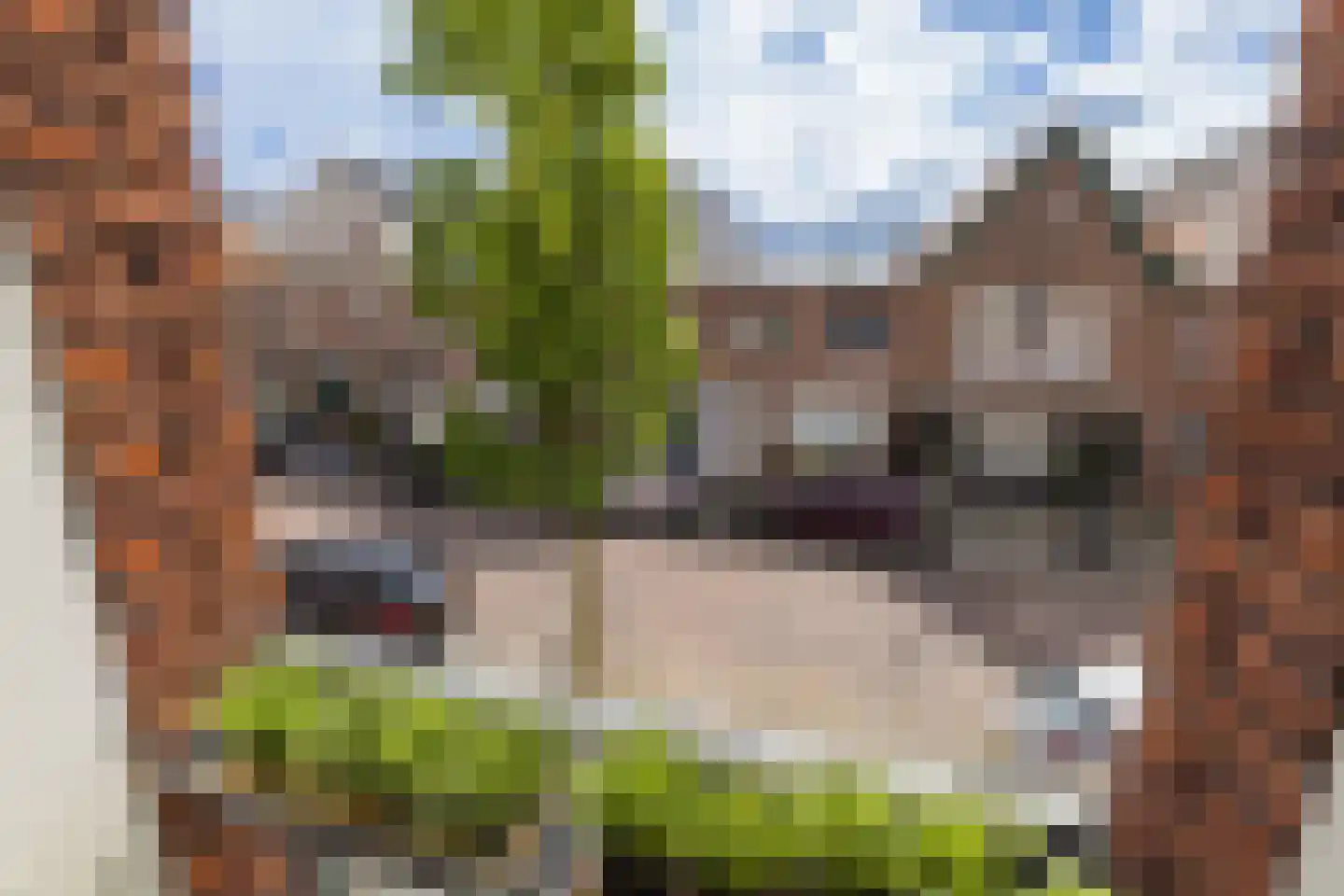 Prins Hendrikstraat 44 Hillegom thumbnail 15
