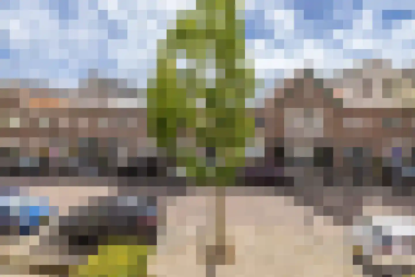 Prins Hendrikstraat 44 Hillegom thumbnail 16
