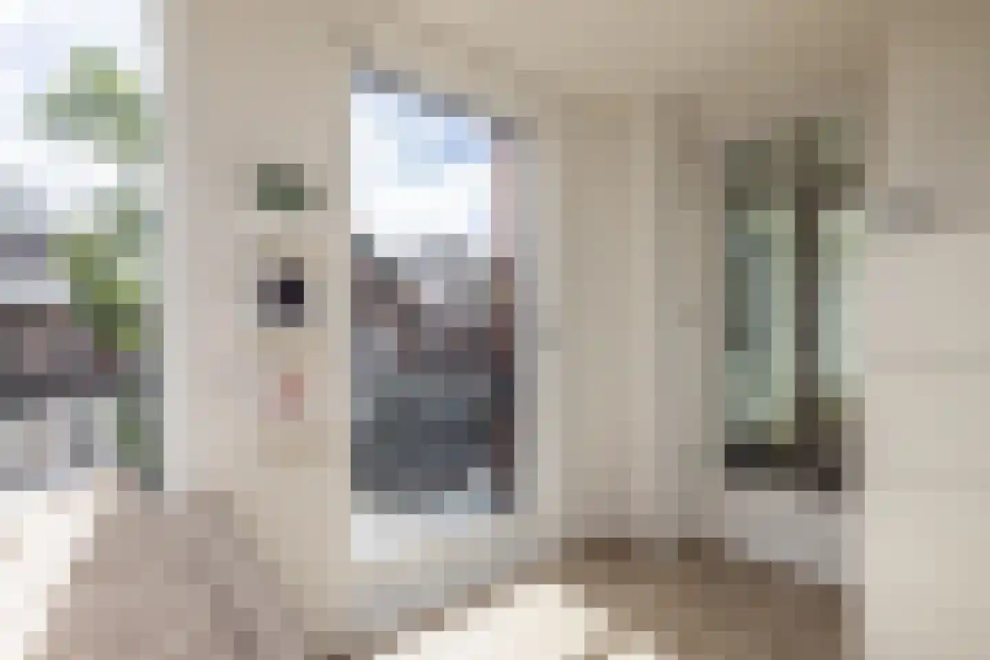 Prins Hendrikstraat 44 Hillegom thumbnail 25