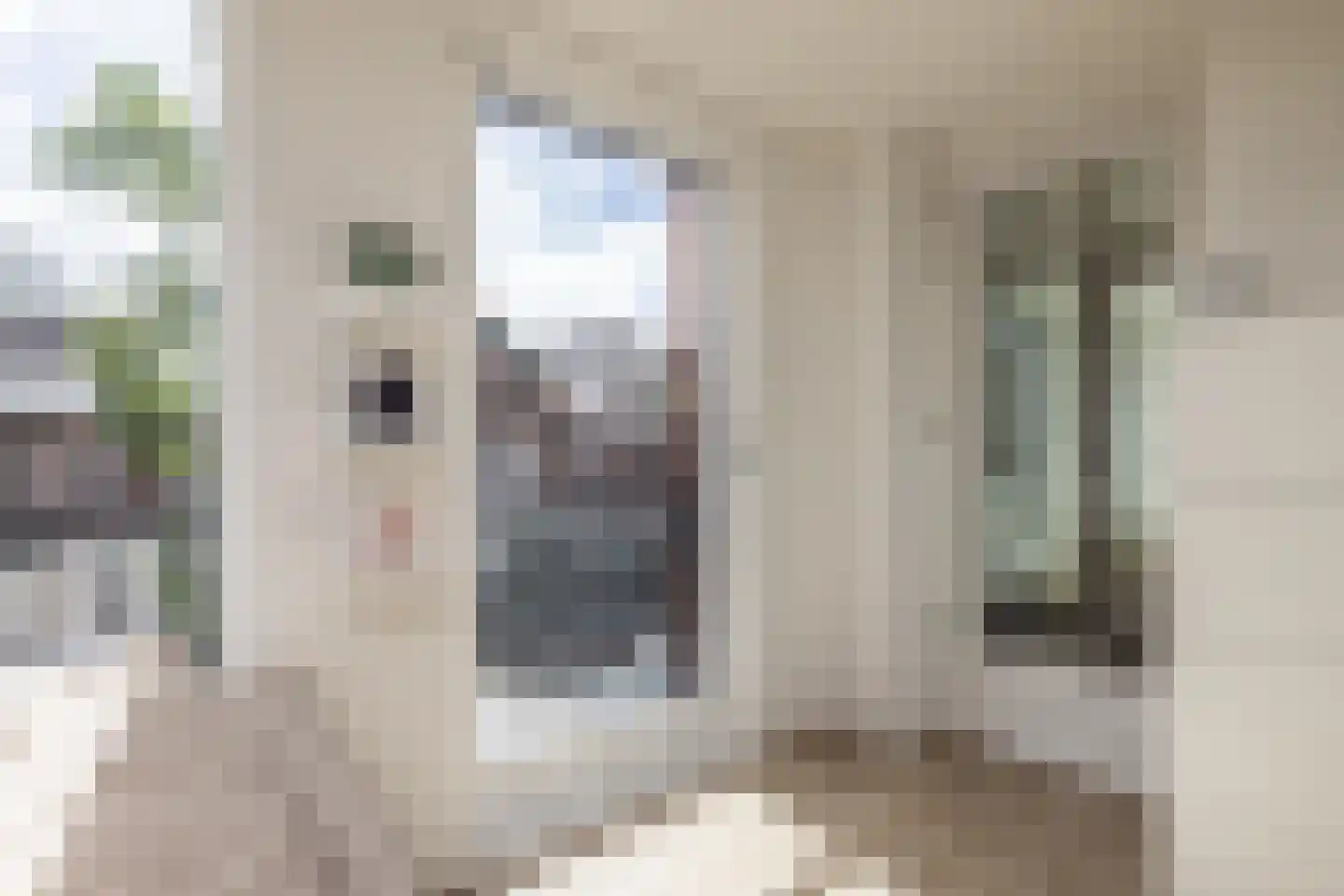 Prins Hendrikstraat 44 Hillegom thumbnail 26