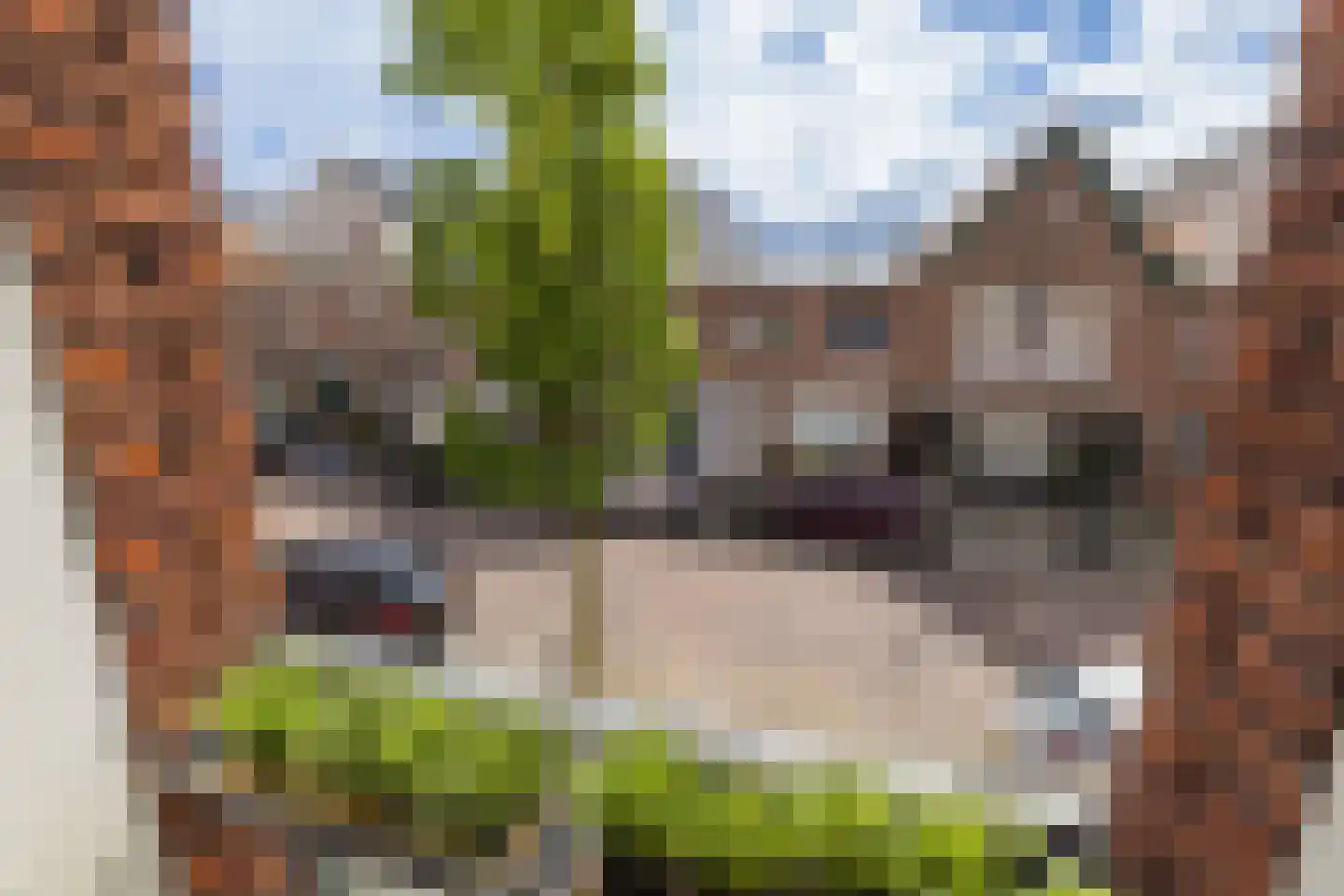 Prins Hendrikstraat 44 Hillegom thumbnail 9