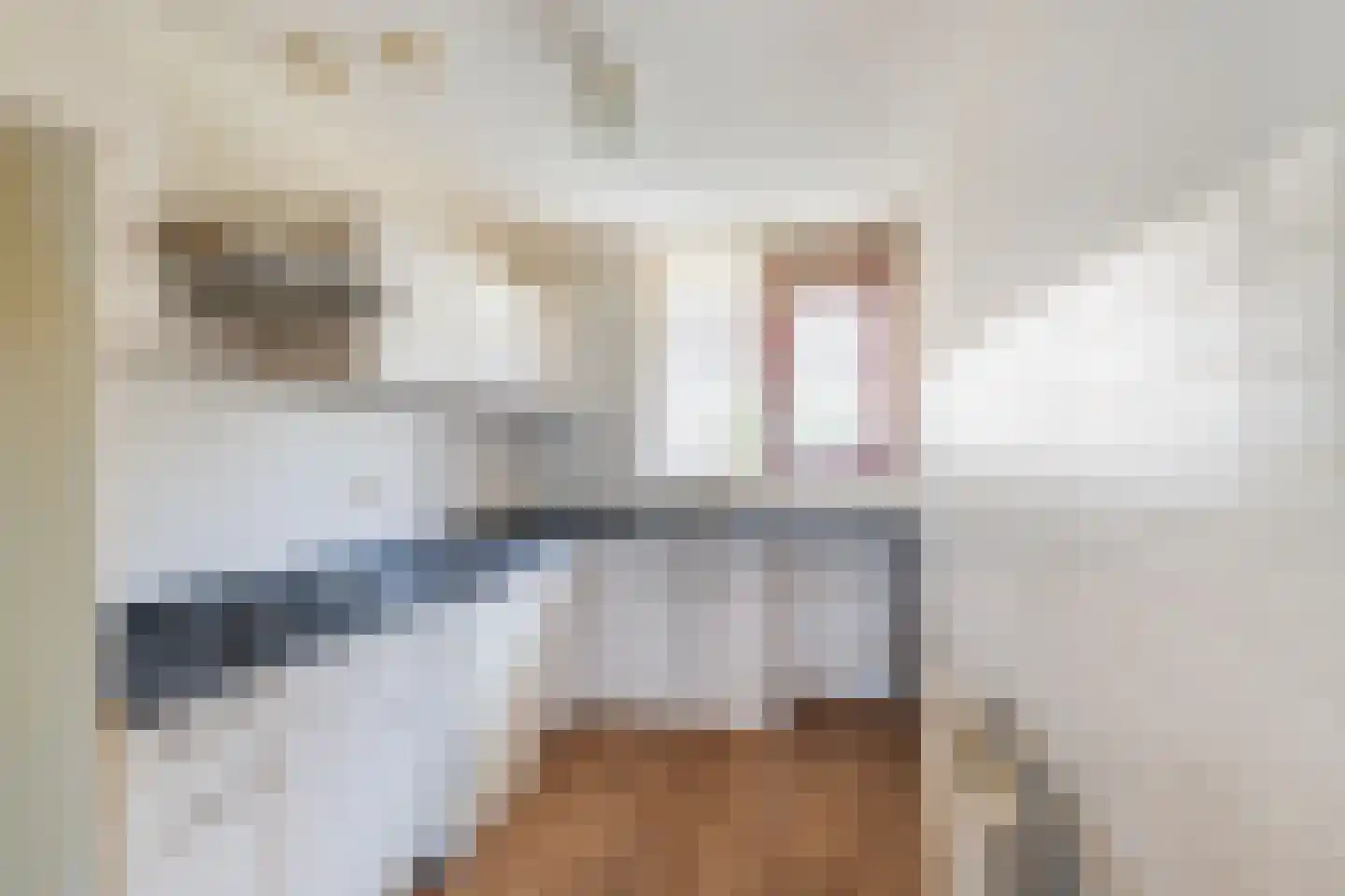Prins Hendrikstraat 48 Naaldwijk thumbnail 5