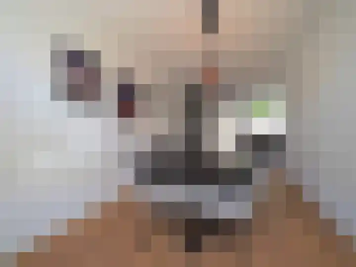 Prins Hendrikstraat 49 Sliedrecht thumbnail 9