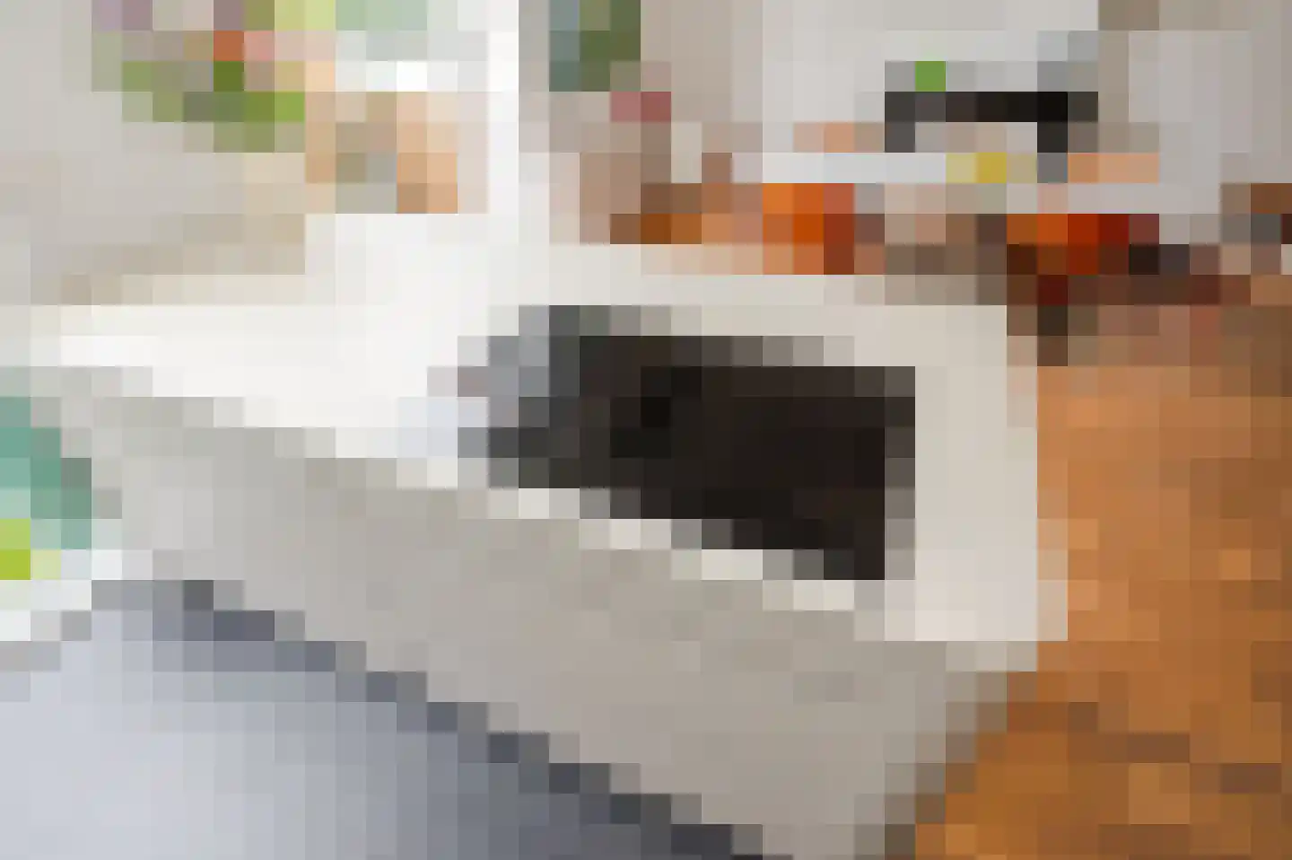 Prins Hendrikstraat 5 Den Haag thumbnail 18