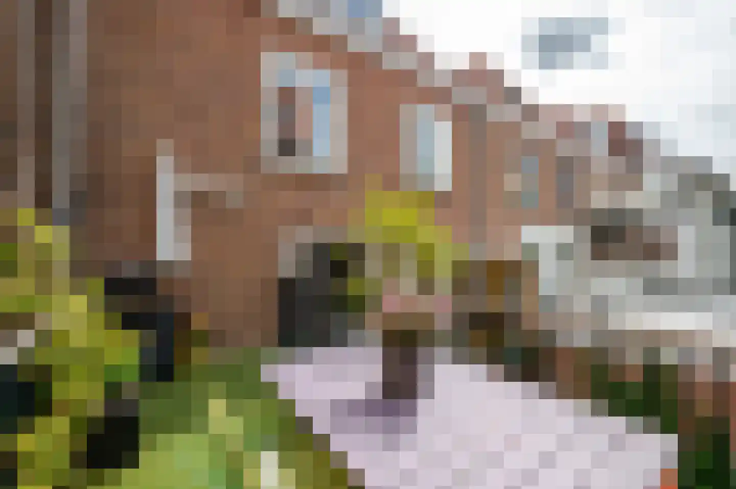 Prins Hendrikstraat 5 Den Haag thumbnail 23