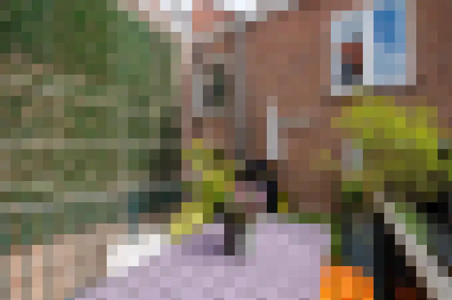 Prins Hendrikstraat 5 Den Haag thumbnail 24