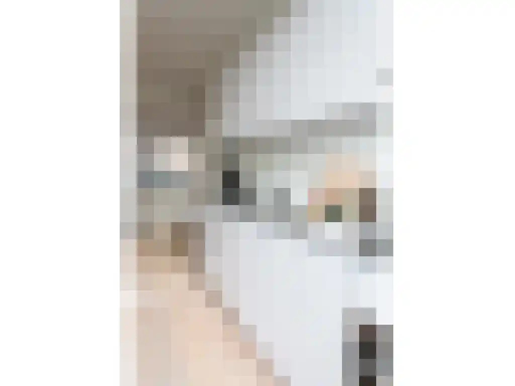 Prins Hendrikstraat 5 Eindhoven thumbnail 4
