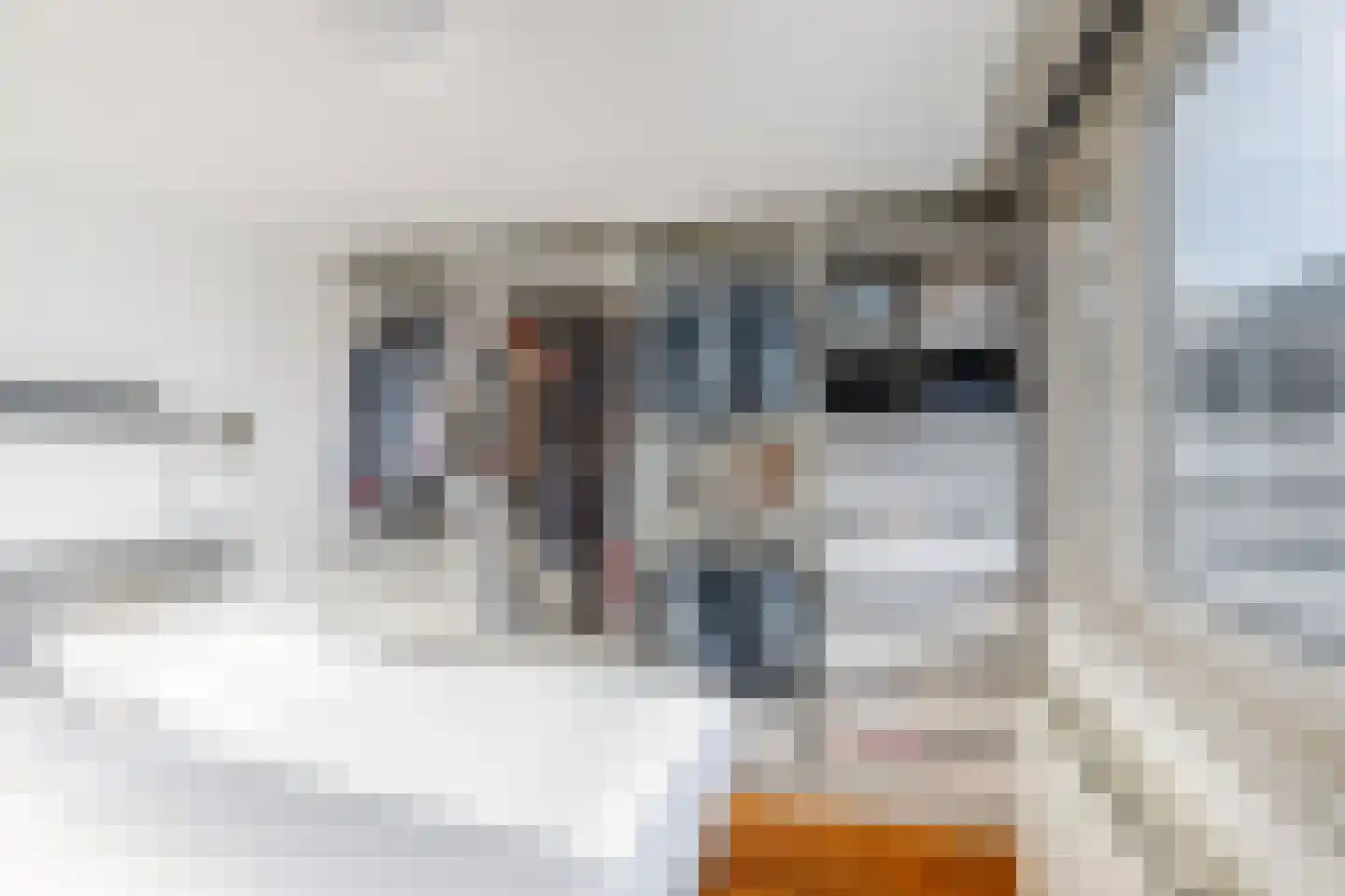 Prins Hendrikstraat 5 Vlaardingen thumbnail 25