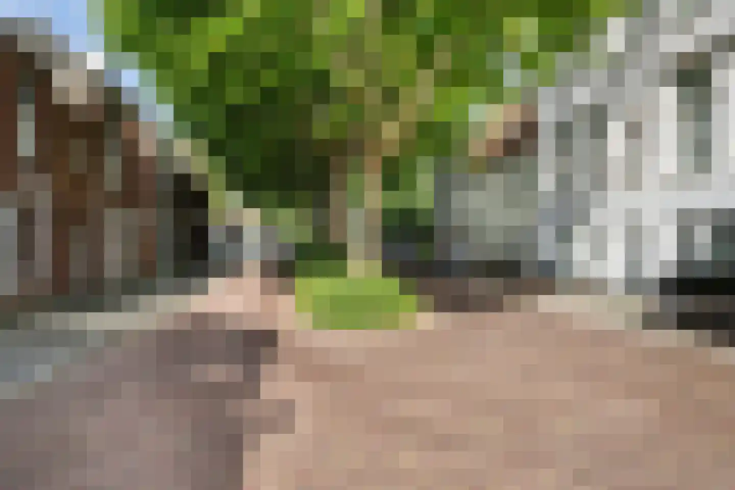 Prins Hendrikstraat 5 Vlaardingen thumbnail 37