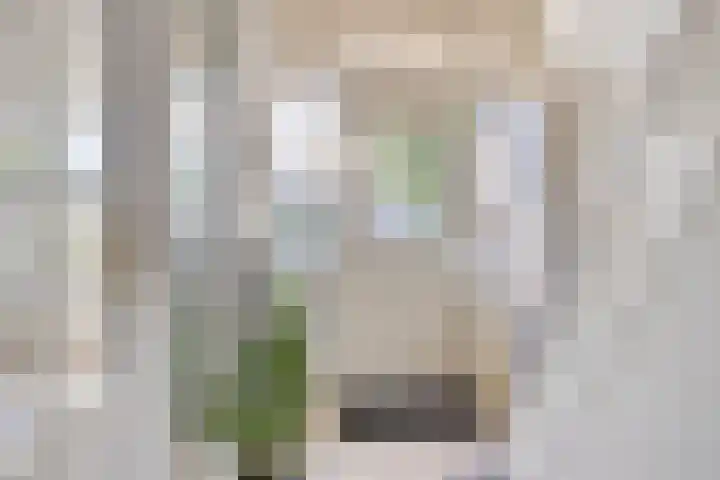 Prins Hendrikstraat 50 Axel thumbnail 12