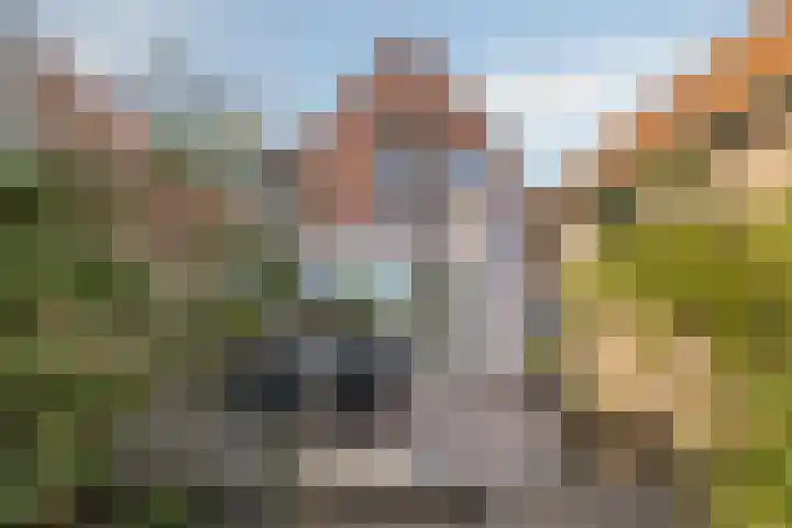 Prins Hendrikstraat 50 Axel thumbnail 23