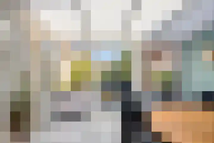 Prins Hendrikstraat 50 Axel thumbnail 8
