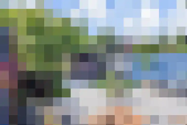 Prins Hendrikstraat 50 Wateringen thumbnail 4