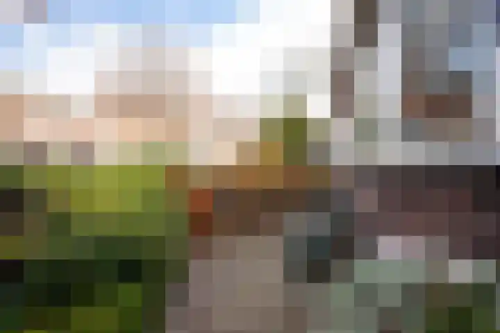 Prins Hendrikstraat 51 Alphen aan den Rijn thumbnail 8