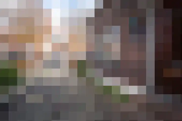 Prins Hendrikstraat 51 Alphen aan den Rijn thumbnail 9