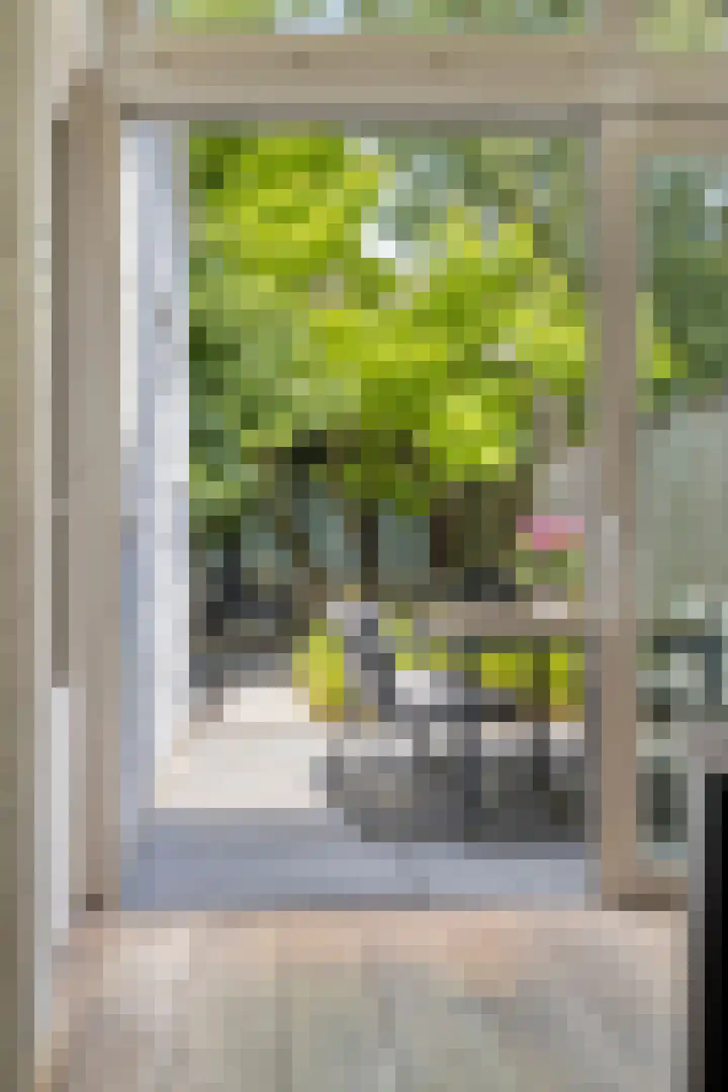 Prins Hendrikstraat 51 Eindhoven thumbnail 12