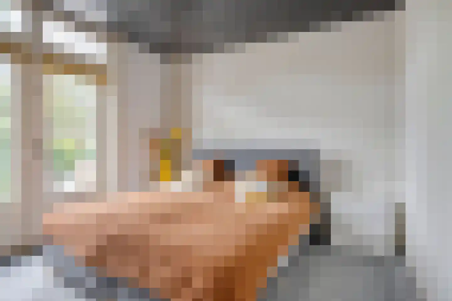Prins Hendrikstraat 51 Eindhoven thumbnail 22