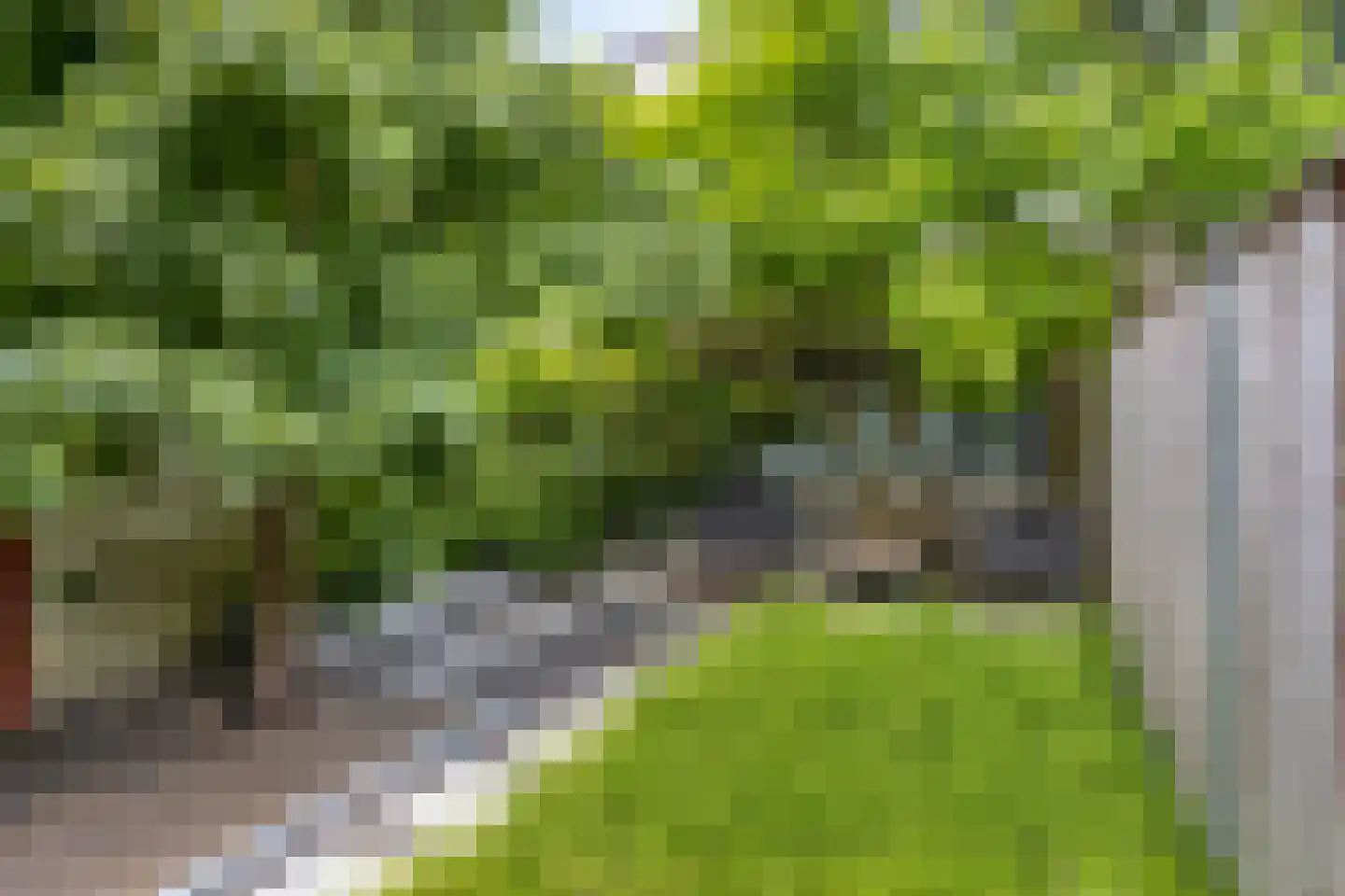Prins Hendrikstraat 51 Eindhoven thumbnail 36