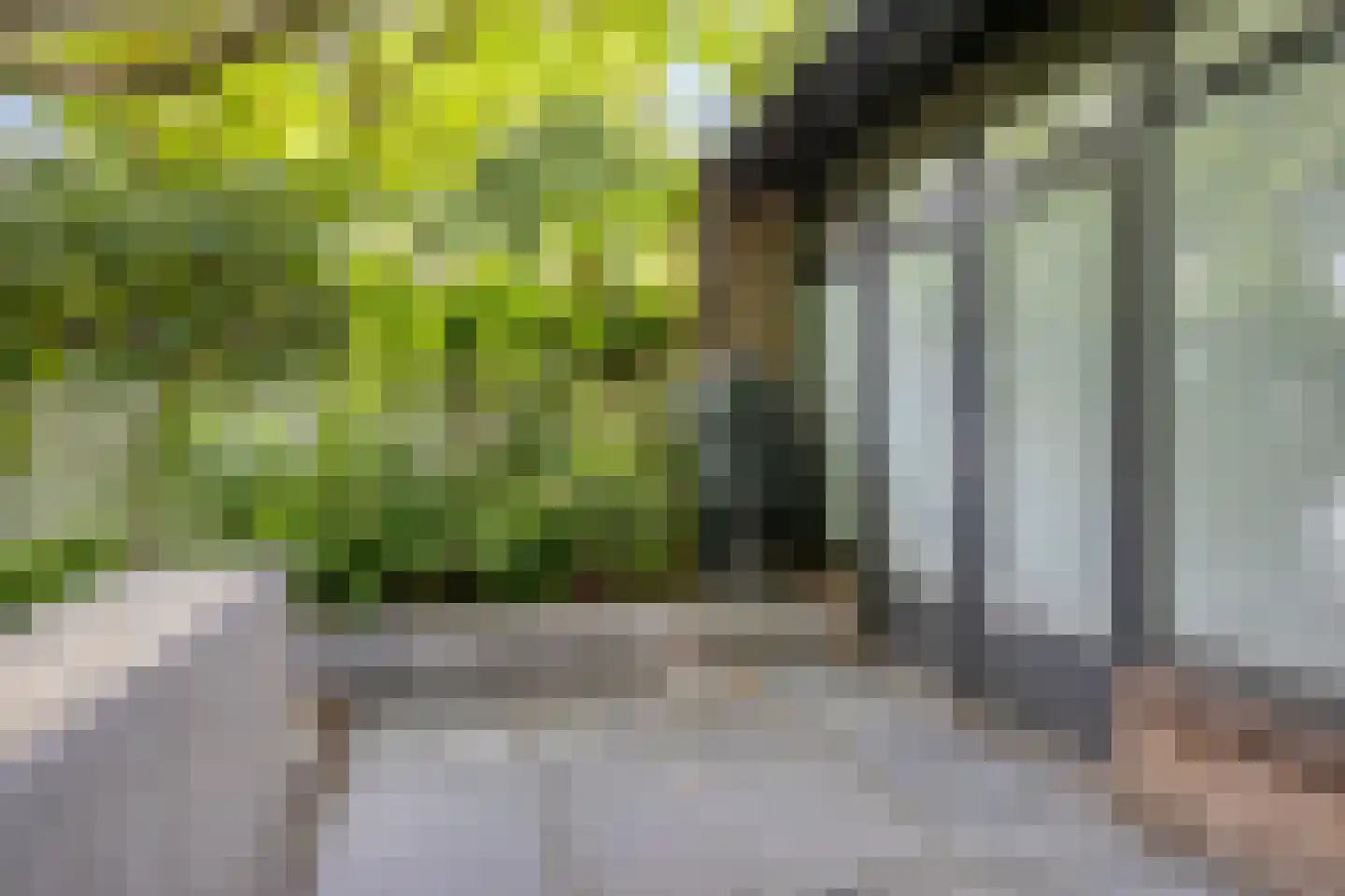 Prins Hendrikstraat 51 Eindhoven thumbnail 38
