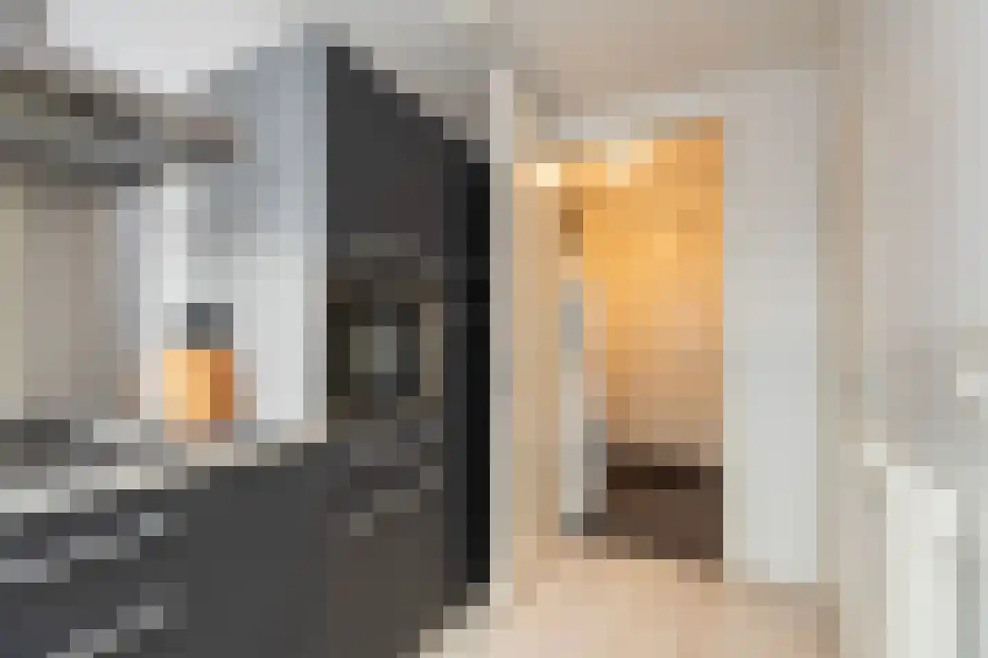 Prins Hendrikstraat 52 Zwijndrecht thumbnail 14