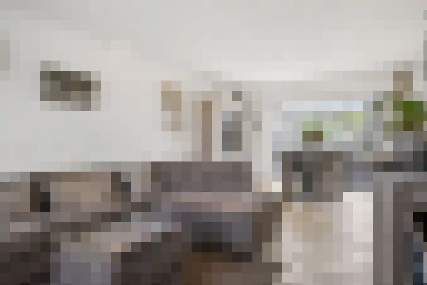 Prins Hendrikstraat 53 Elst thumbnail 11