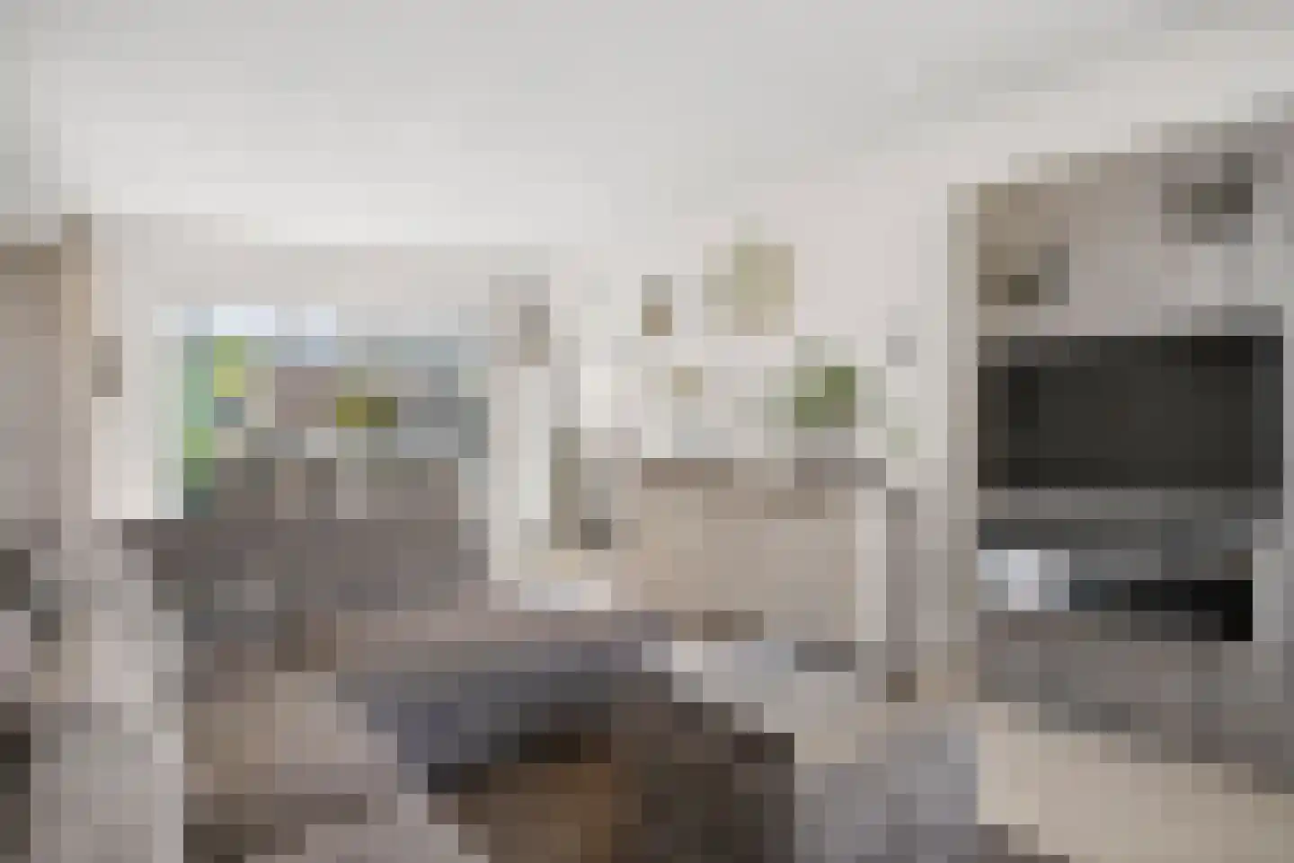 Prins Hendrikstraat 53 Elst thumbnail 12