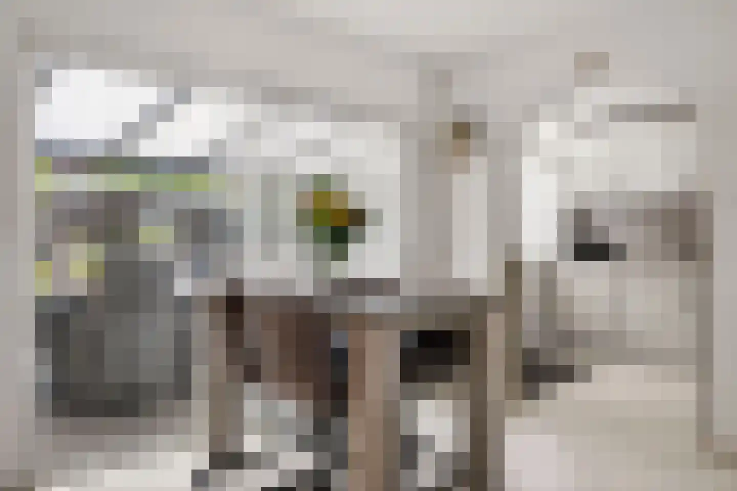 Prins Hendrikstraat 53 Elst thumbnail 14