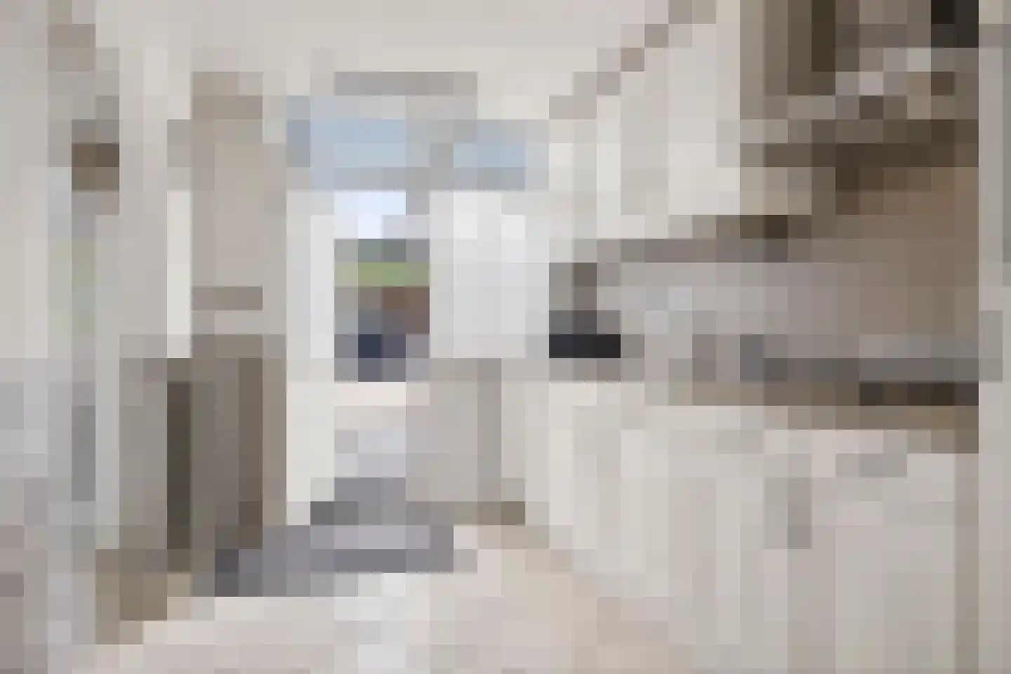 Prins Hendrikstraat 53 Elst thumbnail 17