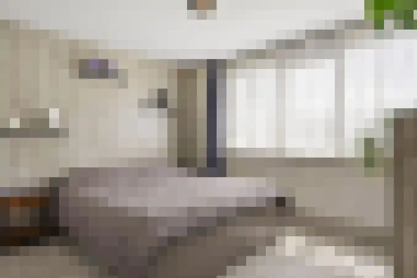 Prins Hendrikstraat 53 Elst thumbnail 28