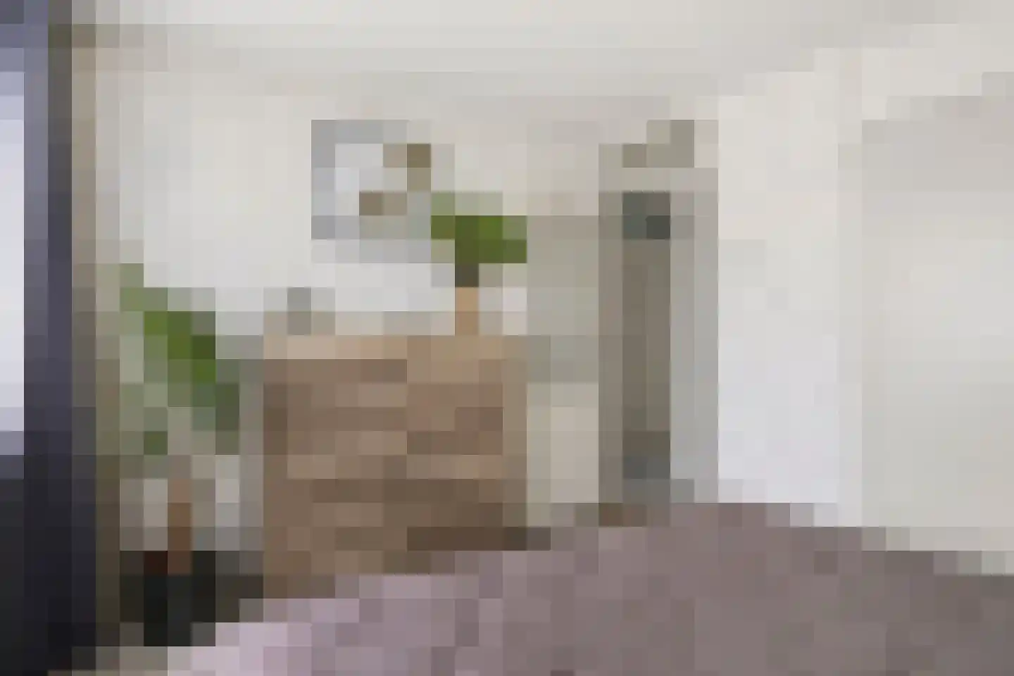 Prins Hendrikstraat 53 Elst thumbnail 29