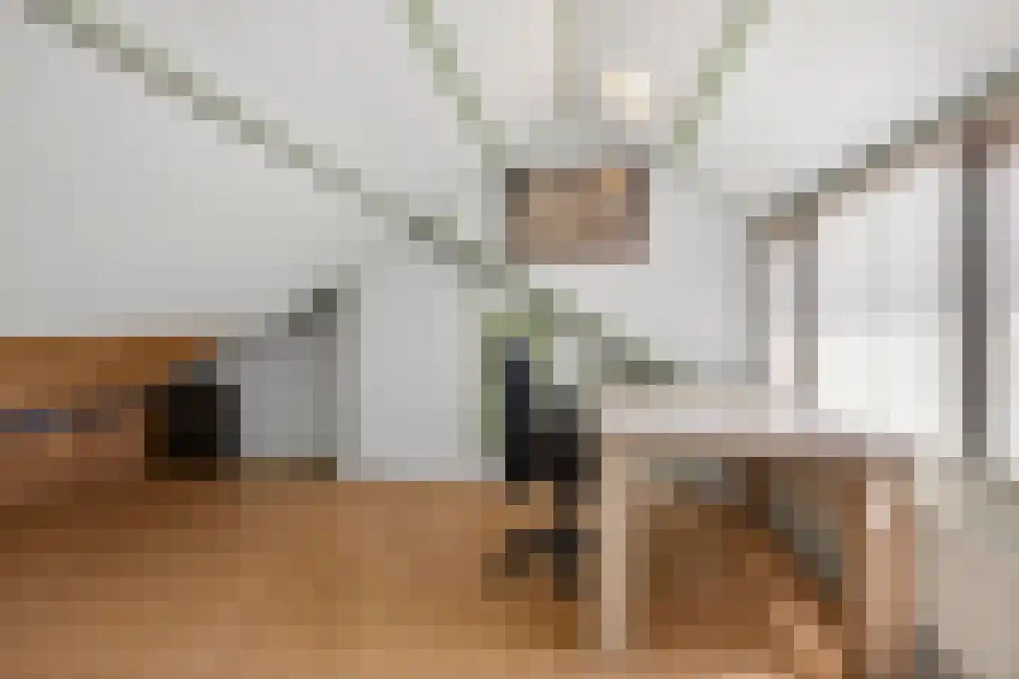 Prins Hendrikstraat 53 Elst thumbnail 37