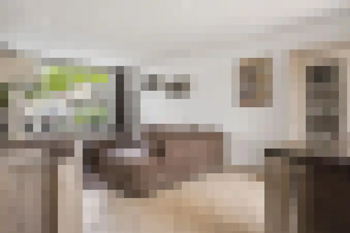 Prins Hendrikstraat 53 Elst thumbnail 9