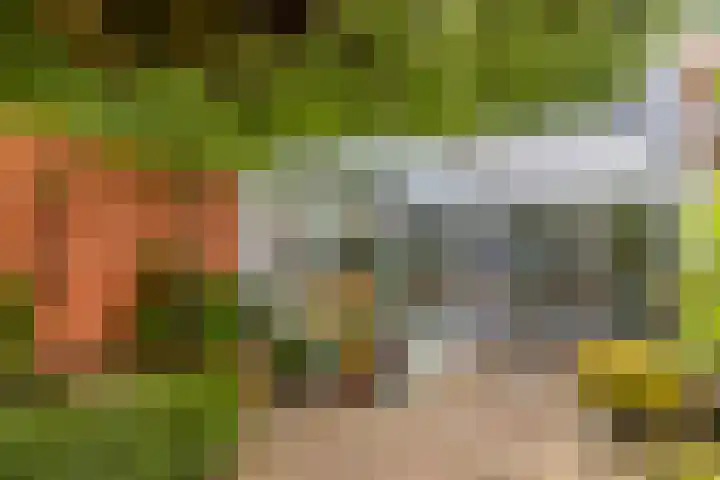 Prins Hendrikstraat 57 in Wateringen