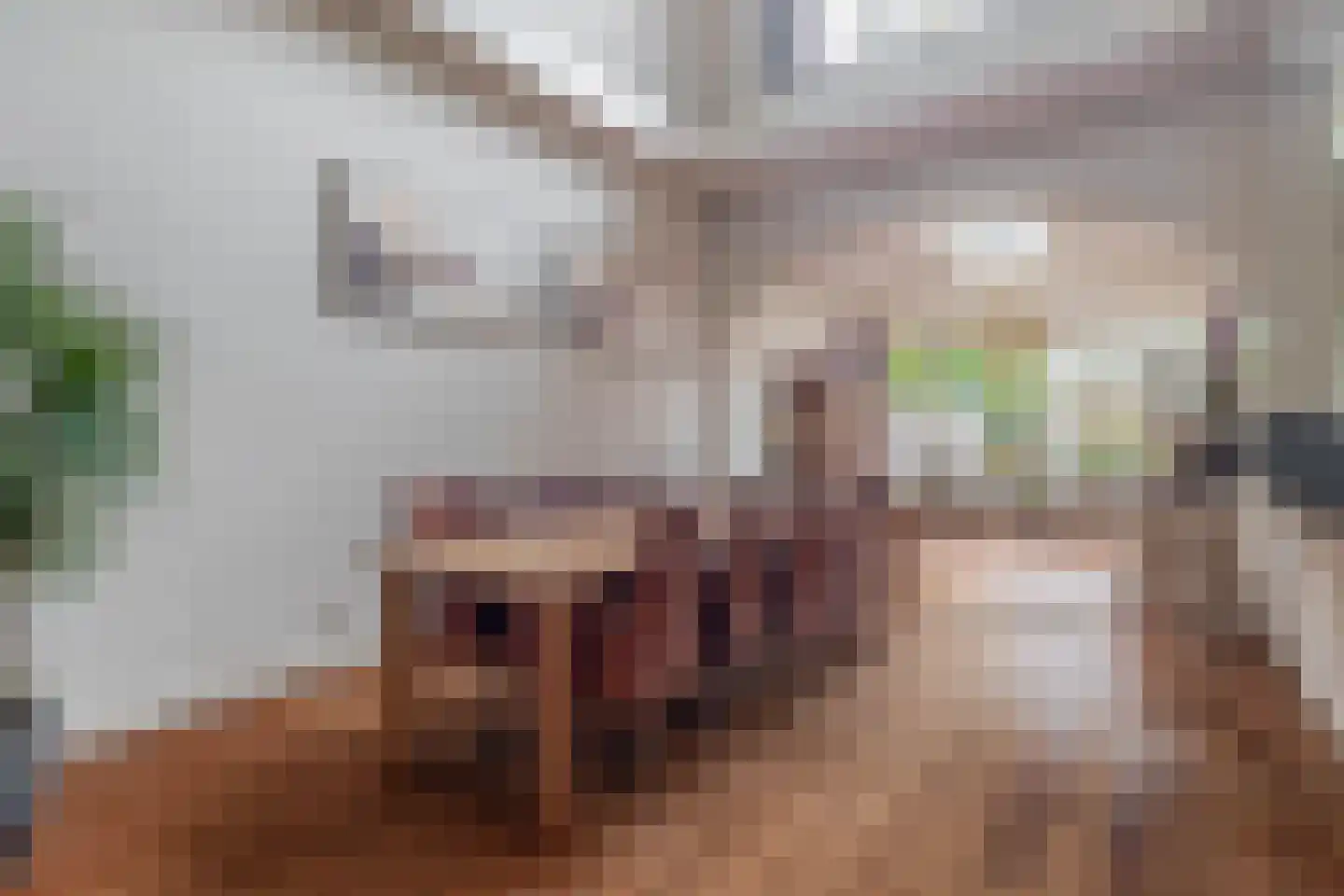 Prins Hendrikstraat 57 Eindhoven thumbnail 13